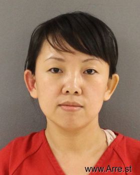 Feng Yun Liu Mugshot