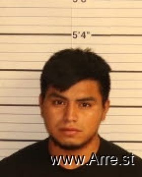 Geovany  Gomez Luis Mugshot