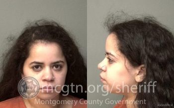 Gabriela Candida Mendez Mugshot