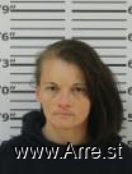 Heather Deanna Collins Mugshot