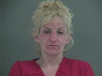 Heather Nicole Edwards Mugshot