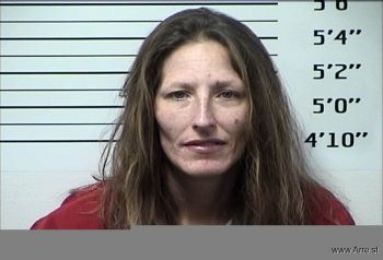 Heather Renee Fisher Mugshot