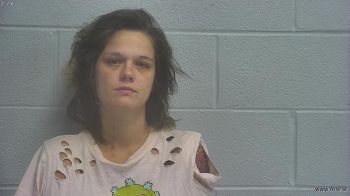 Heather Nicole Greene Mugshot