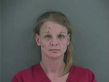 Heather Ann Phillips Mugshot