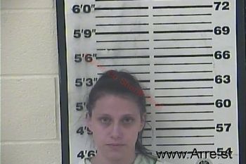 Holly  Davis Mugshot