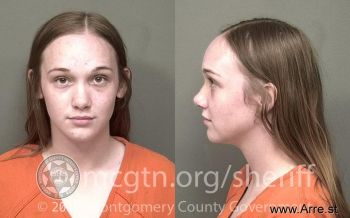 Heather Renae Austin Mugshot