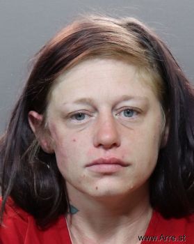 Heather Nicole Dyer Mugshot