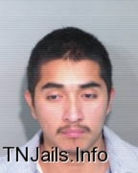 Israel  Hernandez-villeda Mugshot