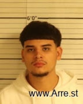 Jairo E Ibarra Mugshot