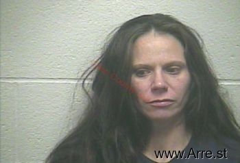 Jamie Marie Andrews Mugshot