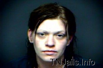 Jamie Leann Hayes Mugshot