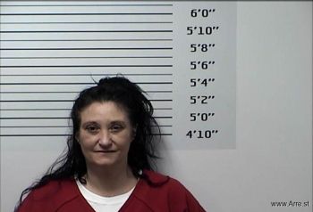 Jamie Arlene Lawson Mugshot