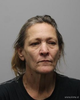 Janet Lynn Houts Mugshot