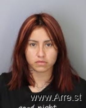 Jessica  Flores Mugshot