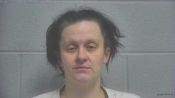 Jessica Brooke Raines Mugshot