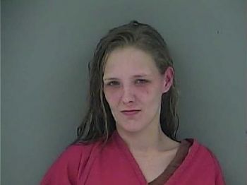 Jessica Ann Roysden Mugshot