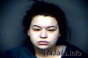 Jessica Erin Wilson Mugshot