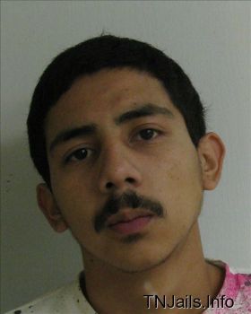 Jesus  Ceja Mugshot