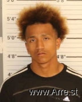 Jimmy  Woods Mugshot