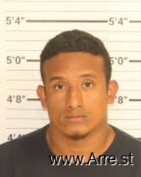 Joel E Perez Mugshot