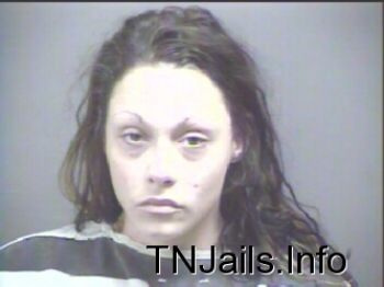 Julia Louise Austin Mugshot