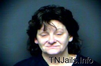 Julie Rhenae Rau Mugshot