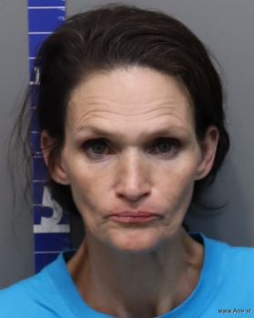 Jami Lee Ceron Mugshot