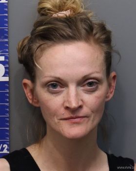 Jamie Lee Holland Mugshot