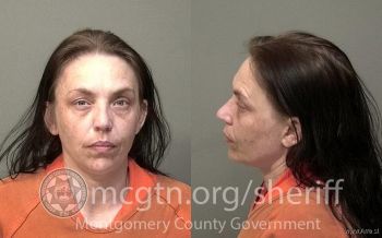 Jennifer Elaine Gibson Mugshot