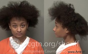 Jennifer Ashlyn Williams Mugshot