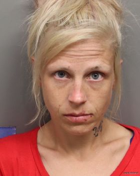 Jessica Ann West Mugshot