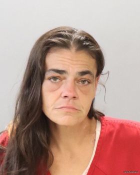 Jessica Anne Guinn Mugshot