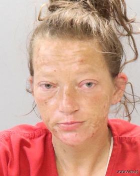 Jessica Leann Mitchell Mugshot