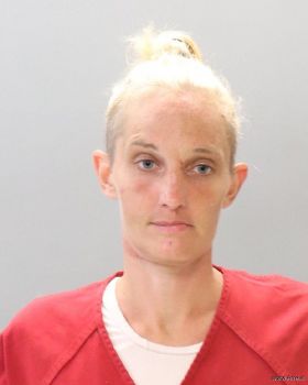 Jessica Ann Riddle Mugshot