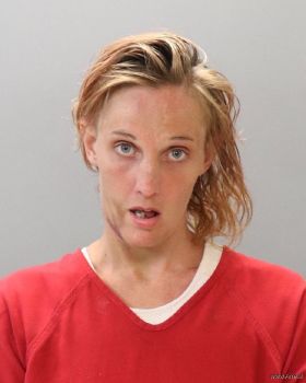 Jessica Ann Riddle Mugshot