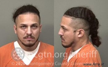 Jose David Adames Mugshot