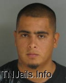 Jose  Alejandro Mugshot