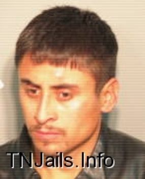 Jose  Estrada-moales Mugshot