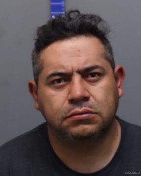 Jose Alons Gallegos-mojica Mugshot