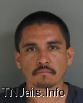 Jose  Olvera Mugshot