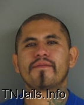 Jose  Soto Mugshot