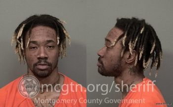 Joshua Le Vel Fox Mugshot