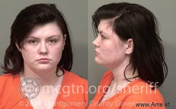 Joy Ann Price Mugshot