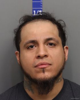 Juan Carlos Salgado Mugshot