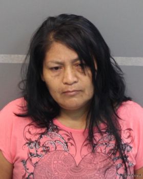 Juana  Godinez-morales Mugshot