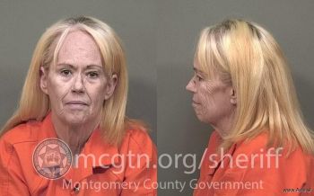 Julie Penny Johnson Mugshot