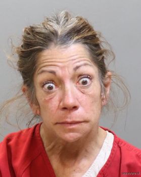 Julie Ann Clary Mugshot