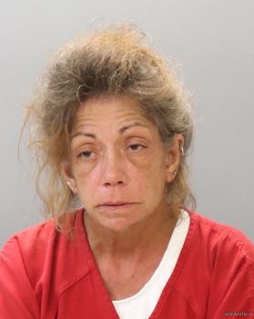 Julie Ann Clary Mugshot