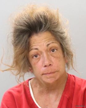 Julie Ann Clary Mugshot