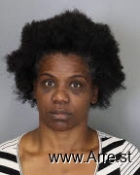 Karen Ann Johnson Mugshot